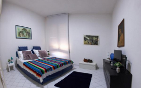 CASA VET